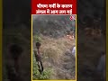 Jammu Kashmir के Rajouri में भीषण गर्मी के कारण जंगल में आग लग गई | #shorts #shortsvideo #viral  - 00:31 min - News - Video