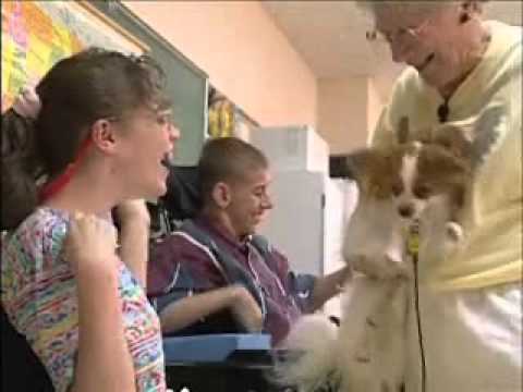 Therapy Dogs International Informational Video