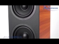 Напольная акустика Davis Acoustics Matisse 3D