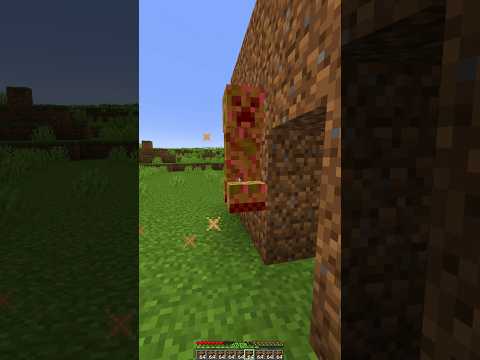 Minecraft Creeper vs House😱