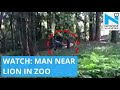 Man  jumps into lion enclosure in Thiruvananthapuram Zoo