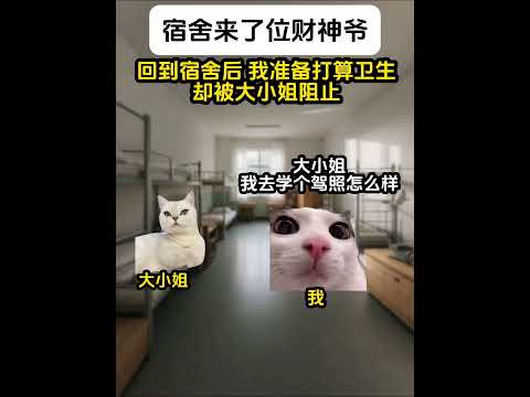 猫の動画サムネイル - 宿舍来了位财神爷第四集#有趣 #猫meme #猫meme剧场 #内容过于真实  #故事 #貓 #猫猫meme小剧场 #喵不可言