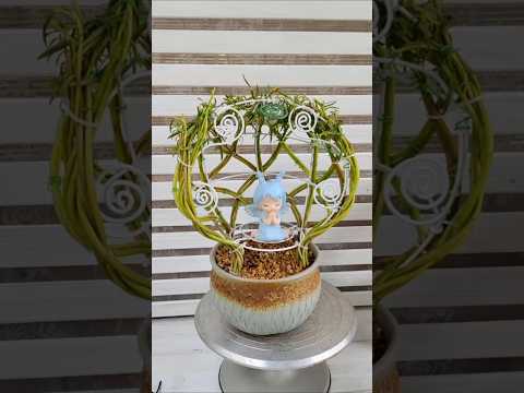 Decorations plant portulaca flower beautiful #shorts #garden #plants #diy #flowers