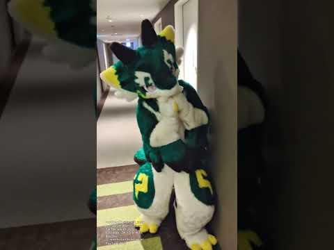 [Fursuit]Fluffy Dragon staying at a hotel😆🐉 可愛い着ぐるみドラゴンがホテル宿泊！