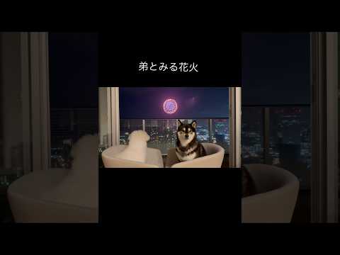 弟の初めての花火体験と家族の温かい思い出 サムネイル