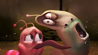 Larva - Vánoce