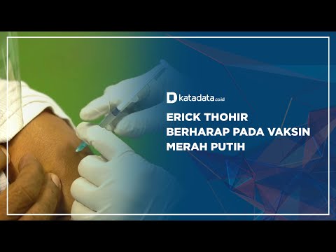 Erick Thohir Berharap pada Vaksin Merah Putih | Katadata Indonesia