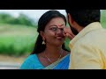 Radhaku Neevera Praanam - Full Ep - 59 - Radhika, Karthik, Pallavi - Zee Telugu - 21:31 min - News - Video