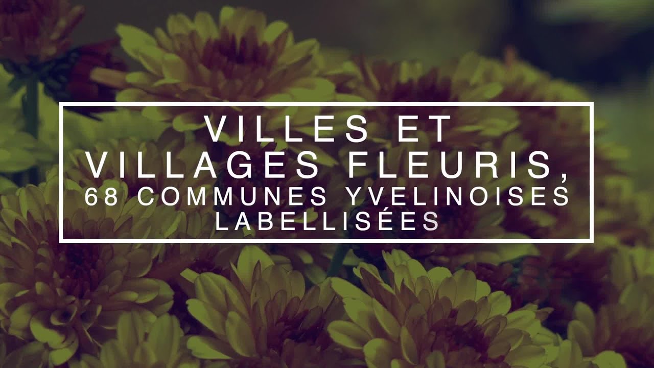 Yvelines | « Villes et villages fleuris », 68 communes yvelinoises labélisées