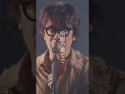 「Regulus」音博2025 #くるり #京都音博2025 #Regulus #今年の音博で初披露