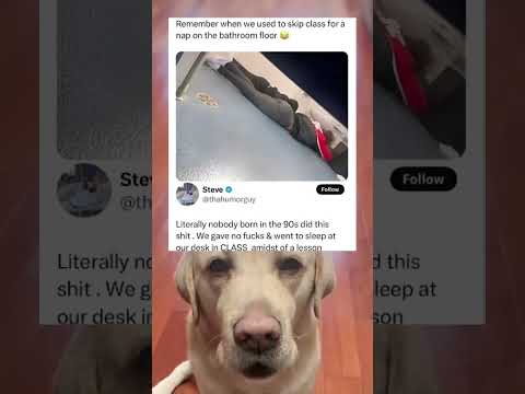 #memes #story #dog #shorts #pets