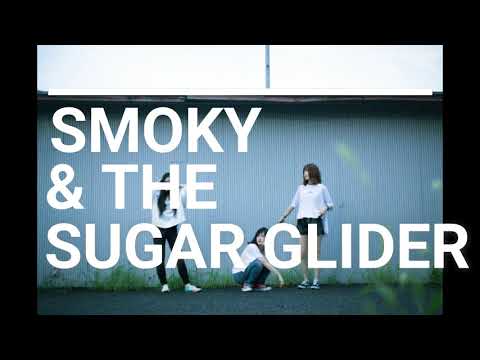 SMOKY & THE SUGAR GLIDER