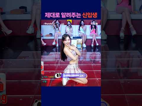 제대로 알려주는 신입생 #팬더티비 #강남기획 #엑셀방송 #여캠 #가애 #교복