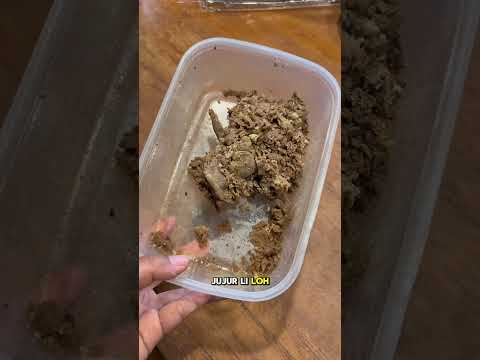 Terpaksa masak??? Untung stok sayur dari kebun ada terus #kebun #berkebun #masak #garden