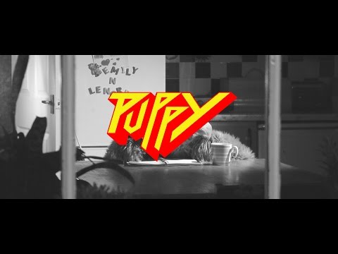 Puppy - Waste Away (Fan Video)