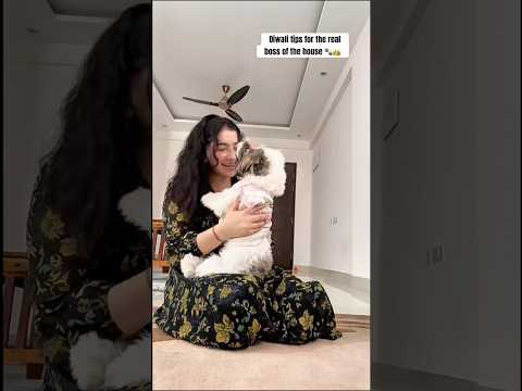 Patakon se nahi, pyar se chamkega ghar 💫🐶 #diwalivibes #ytshorts #pets #youtubeshorts #diwali2025