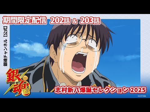 【アニメ銀魂公式】志村新八爆誕セレクション2025　期間限定第202話＆第203話