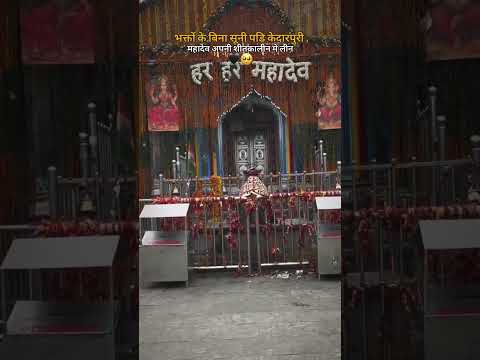 केदारनाथ धाम से लाइव वीडियो सभी भक्तों के  लिए 🙏 भक्तों के बिना सूनी पड़ी केदारघाटी #kedarnath #sho