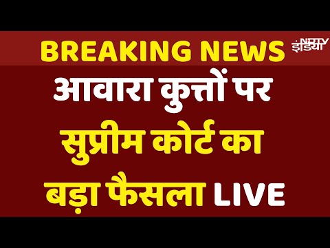 Supreme Court on Stray Dogs Live Updates: सुप्रीम कोर्ट में Dog Lovers की बड़ी जीत
