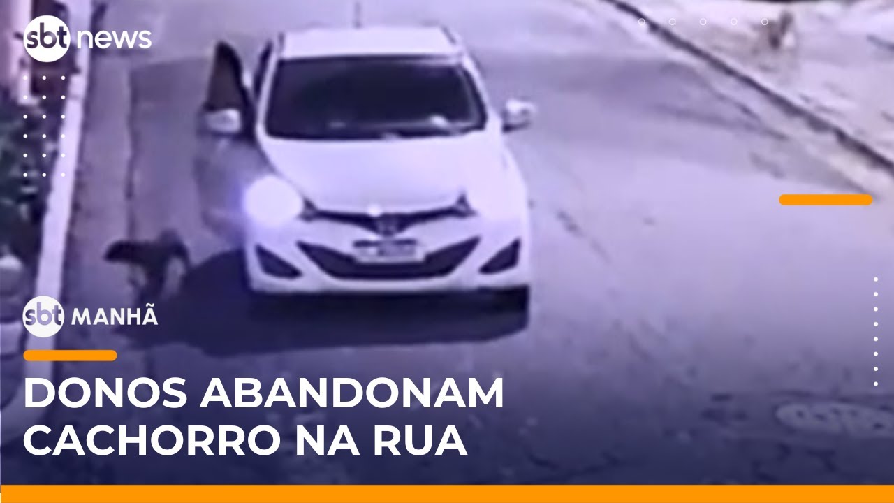 Cachorro é abandonado no meio da rua pelos donos; caso foi flagrado por câmera | #SBTManhã