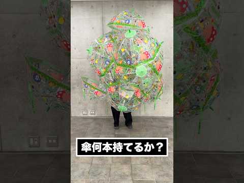 人間って傘何本持てるの？？？　How many umbrellas can a human have?☂️