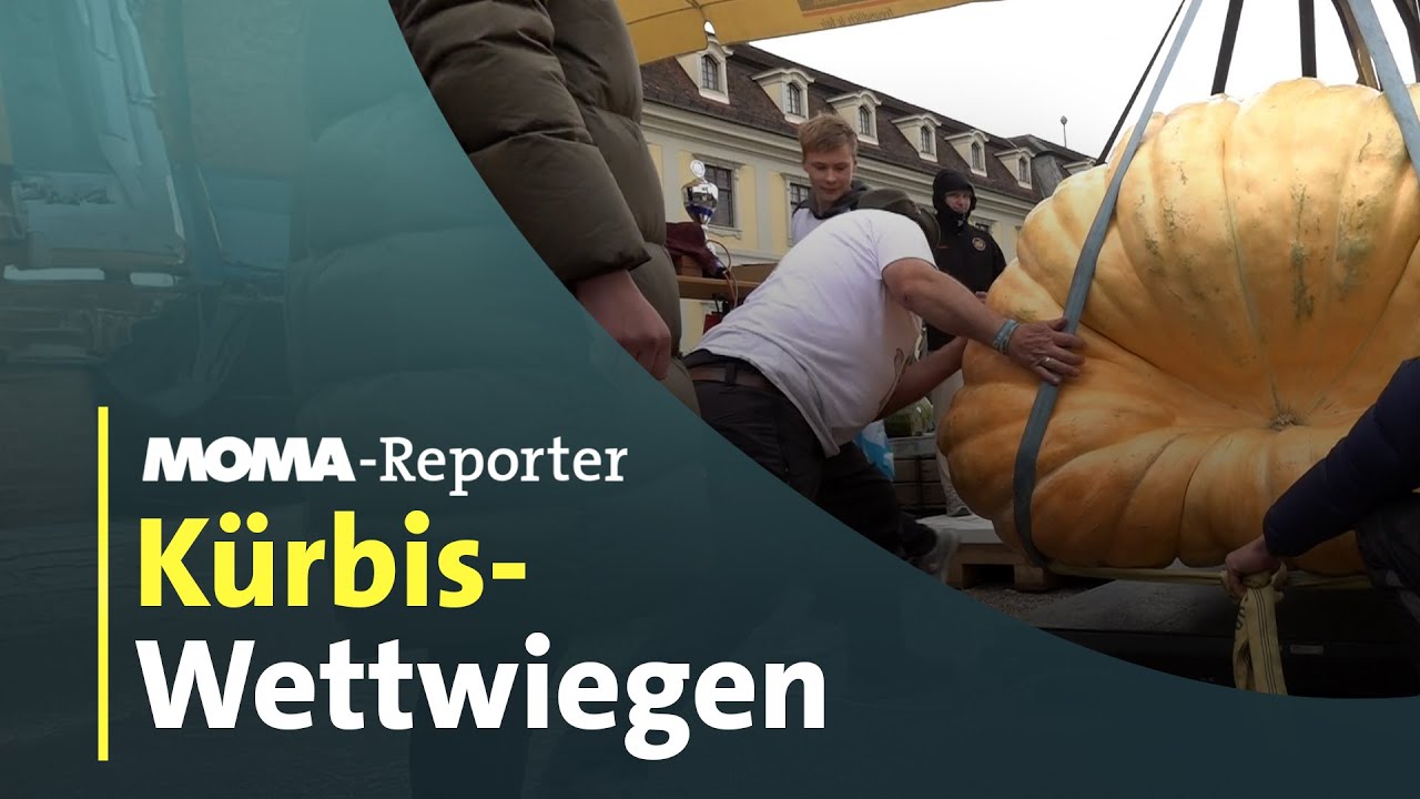 MOMA-Reporter: Deutschlands dickster Kürbis gesucht I ARD Morgenmagazin