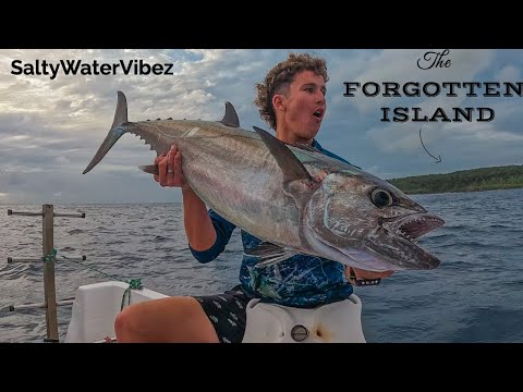Exploring the 'FORGOTTEN ISLAND'!! (Spearfishing GIANTS, freediving with Sharks and Whales)