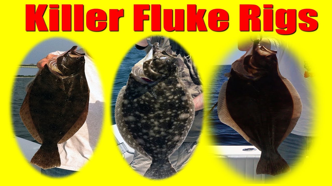 Fluke Fishing How To Tie Killer Fluke Rigs Summer Flounder Rigs Jumbo Fluke Catchers Youtube