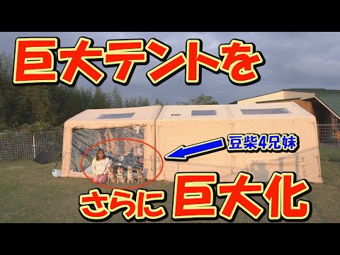 南海トラフ地震を想定して、ガチで防災訓練をしてみました