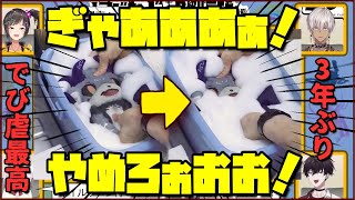 3年ぶりに洗濯されるでびる