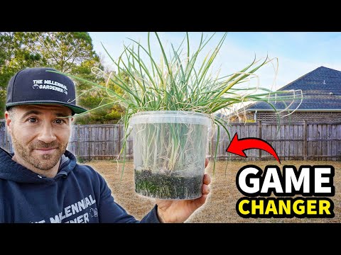 These FREE Containers Are Your Garden's New BEST FRIEND!