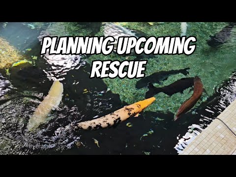 Planning Upcoming Rescue 