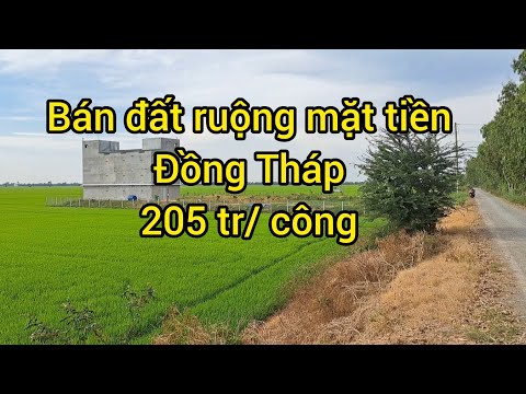 MAP ĐẤT VIỆT - MAPDATVIET.COM Đồng Tháp | bán 4 công 7 đất ruộng mặt tiền 205 triệu /công