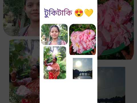 টুকিটাকি 😍💛 #vlog #minivlog #dailyvlog #shorts #shortvideo #foryou #subscribe @RimiNaskar672