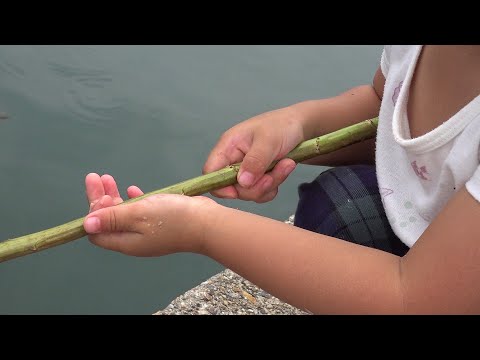 釣りを教えてみました