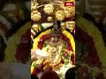 కల్పవృక్ష వాహనంపై రాజగోపాలం అలంకరణలో దర్శనమిస్తున్న సిరులతల్లి శ్రీ పద్మావతి అమ్మవారు #bhakthitv