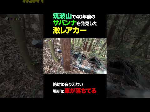 筑波山で40年前のサバンナを発見した激レアカー #shorts