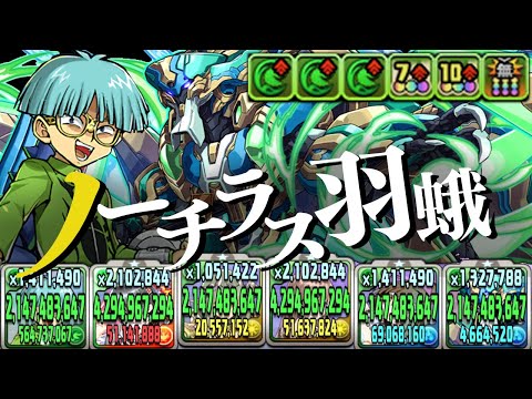 インセクター羽蛾が最新木属性と相性バッチリ！？【パズドラ】