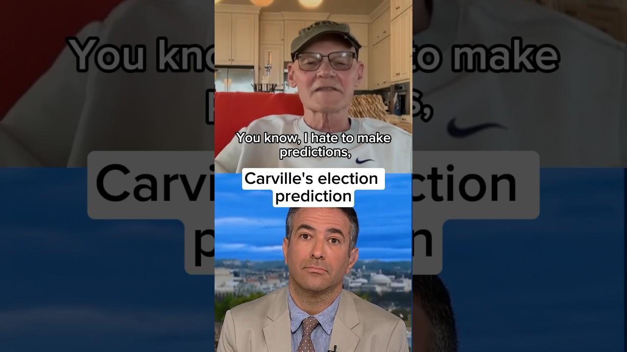 Dem strategist's 2024 election prediction