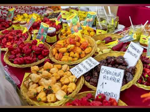 Habanero Giallo peperoncino piccante