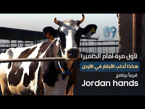 قريبا. هكذا تحلب الأبقار في الأردن #منصة_89 #الإعلام_وعي TV Version