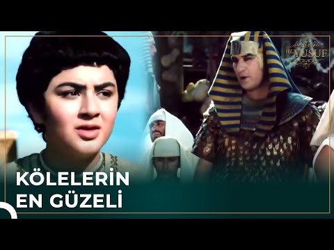 Hz. Yusuf ve Potifar'ın Hikayesi Nasıl Başladı | Hz. Yusuf