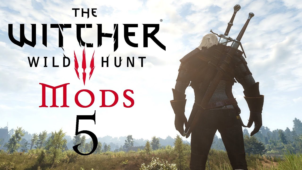 The witcher 3 mod problems фото 116