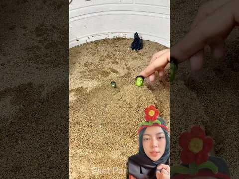 Tidur di pasir ‼️#trending #trendingshorts