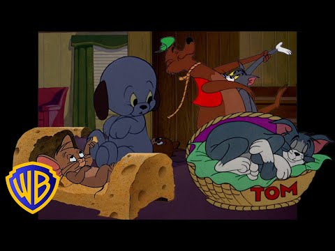 Tom a Jerry - oddychov dni