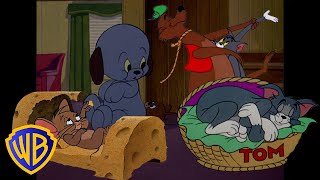 Tom a Jerry - oddychové dni