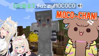 Korone Tried to Bully Mococo, But Immediately Regretted It [Hololive M