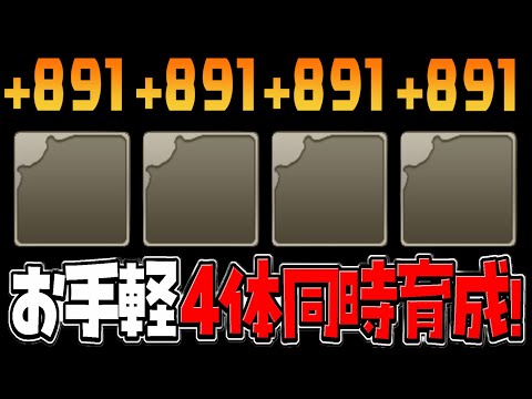 【今だけ交換可能】最新版限界突破コロシアム編成が天才すぎたサンリオコラボ【パズドラ】