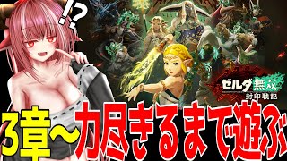 【最速】ゼルダ無双 封印戦記 　3章からクリア目指す！？【#zeldamusoufuuinsenki】
