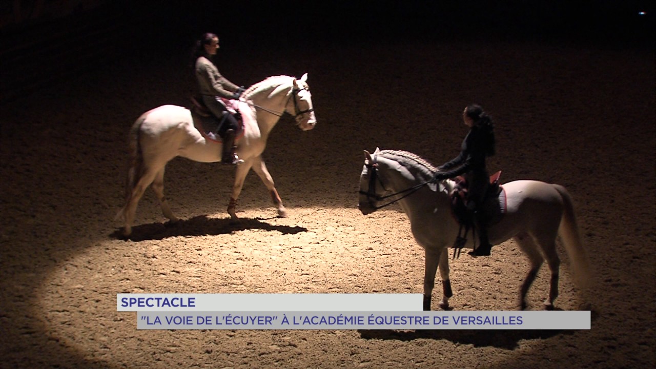 Spectacle : ‘ La Voie de l’Ecuyer ‘ à l’Académie Equestre de Versailles